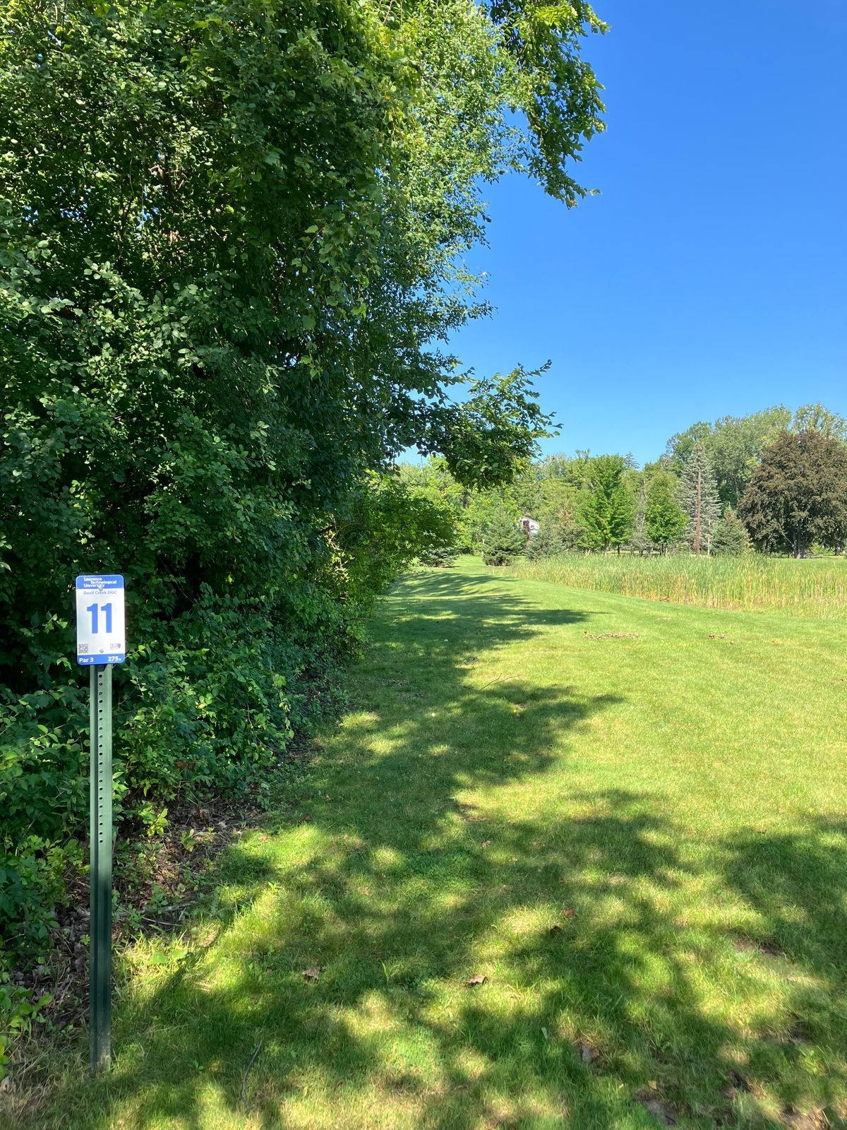 Hole 11