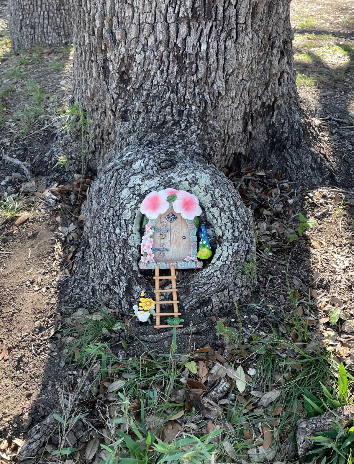 Hole 7 Fairy Garden