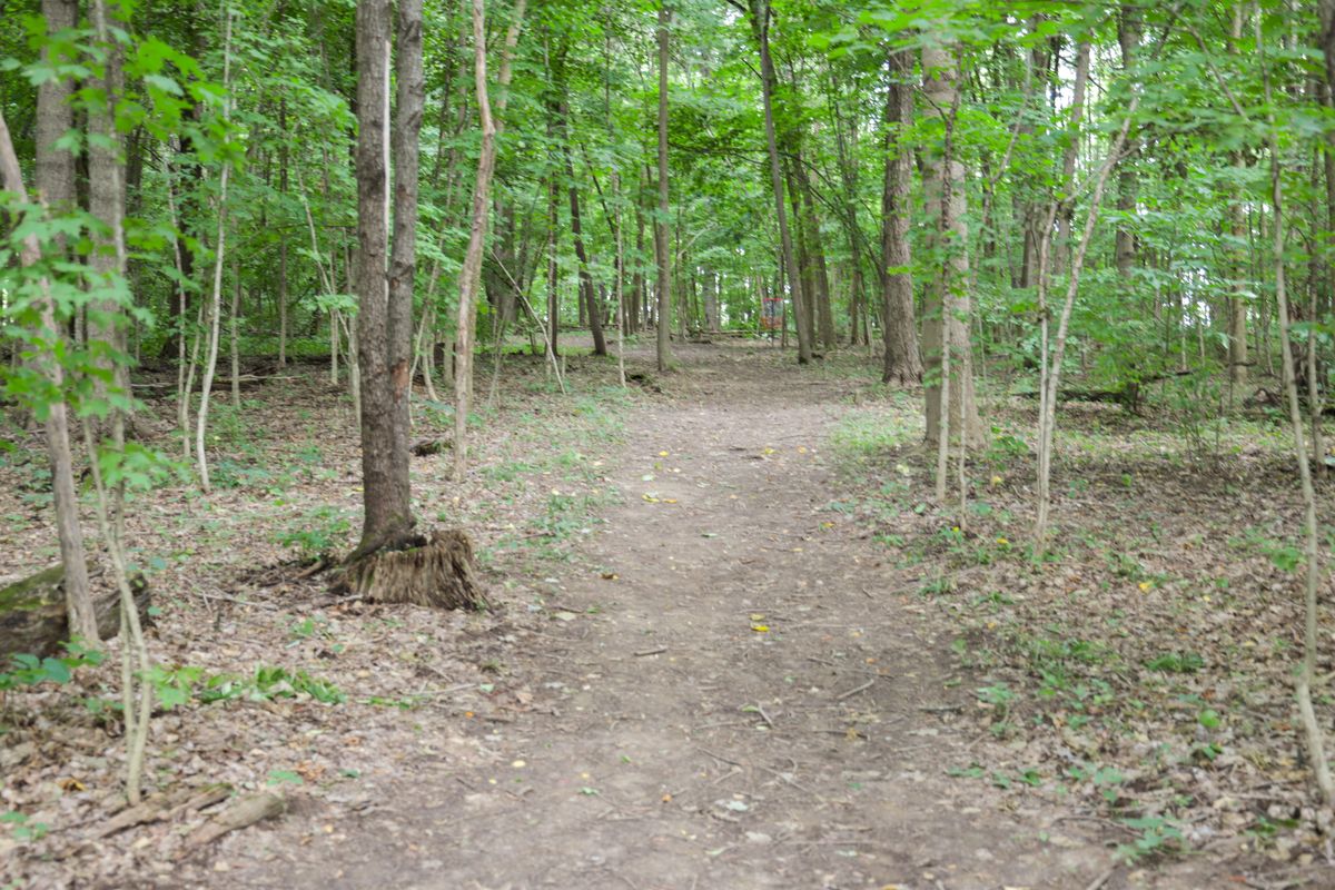 Hole 4