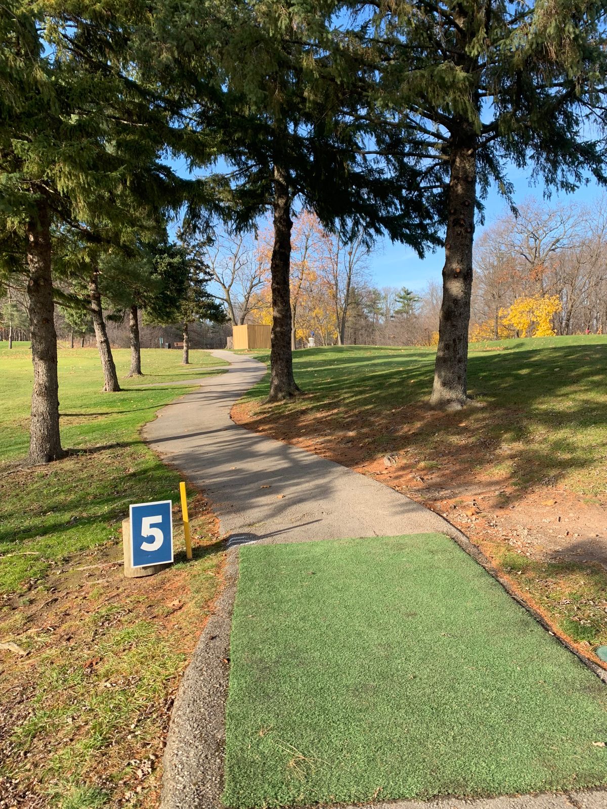 Hole 5 tee
