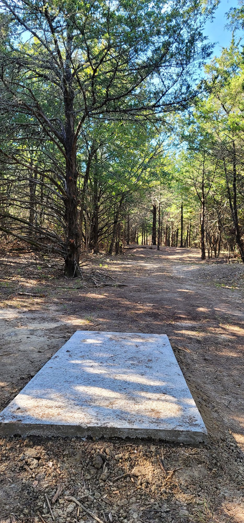 Hole 17 short tee