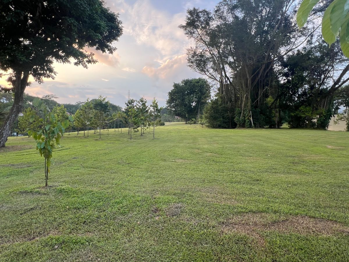 Hole 13 fairway from the tee area. Mando tree in the distance.