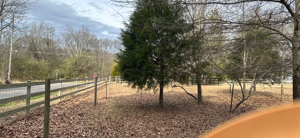 Hole 7