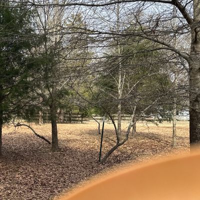 Hole 7