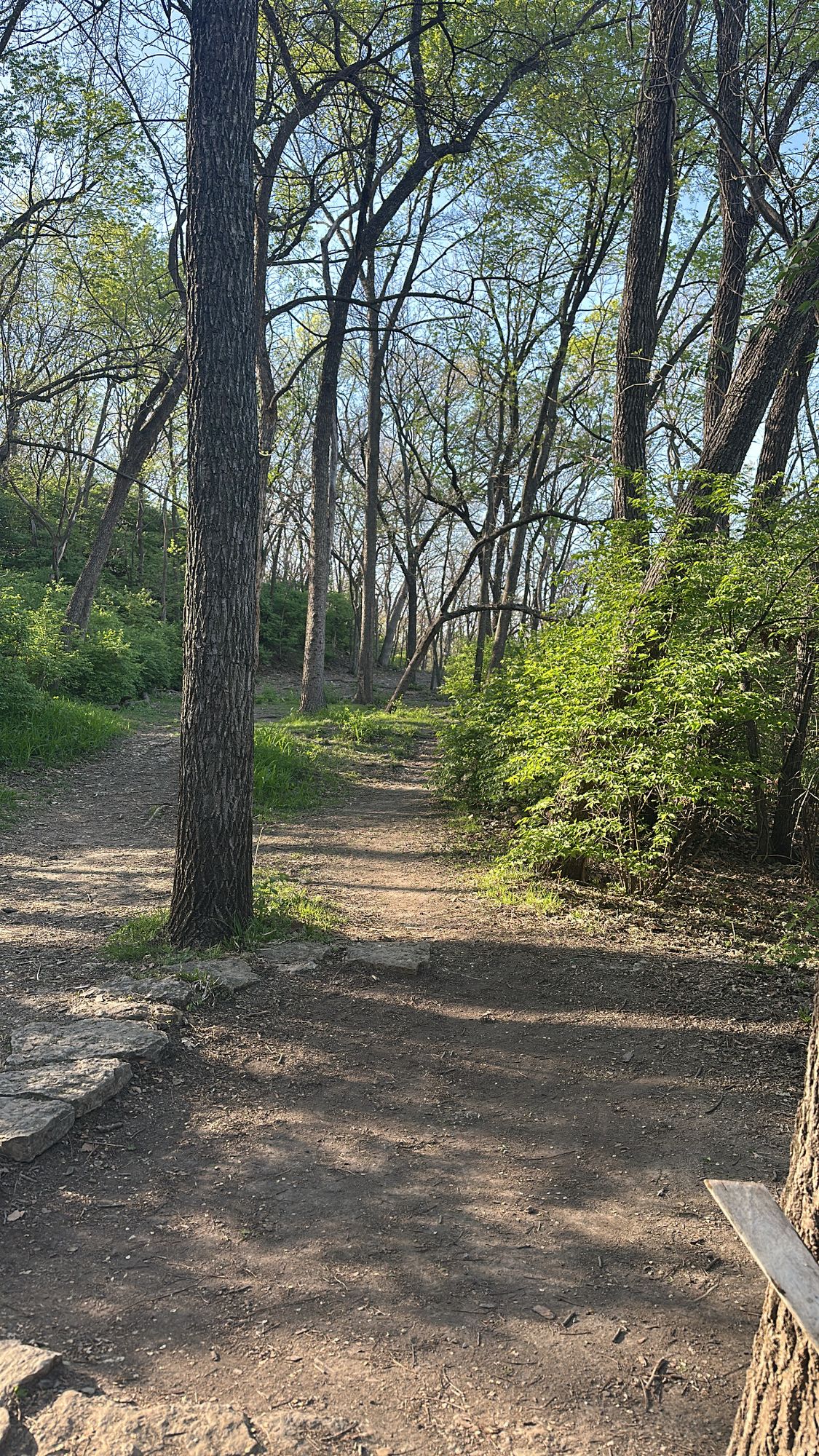 Hole 1