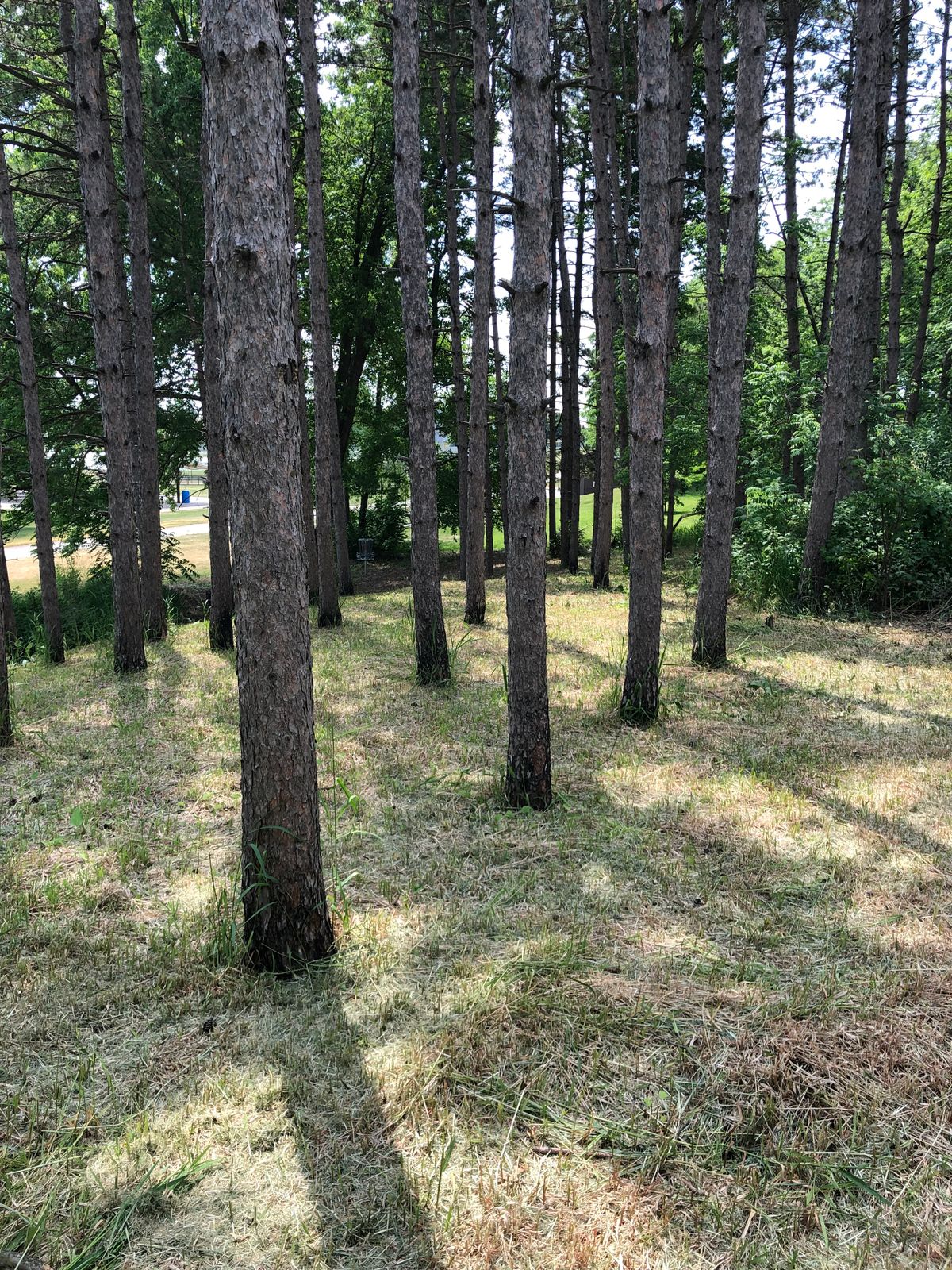 Hole 8