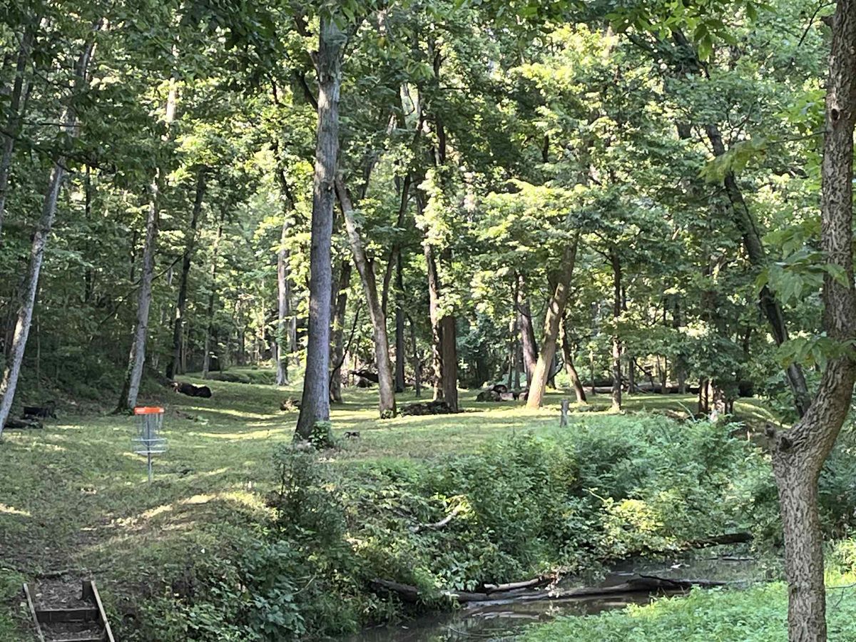 Hole 3 orange basket looking back up the fairway