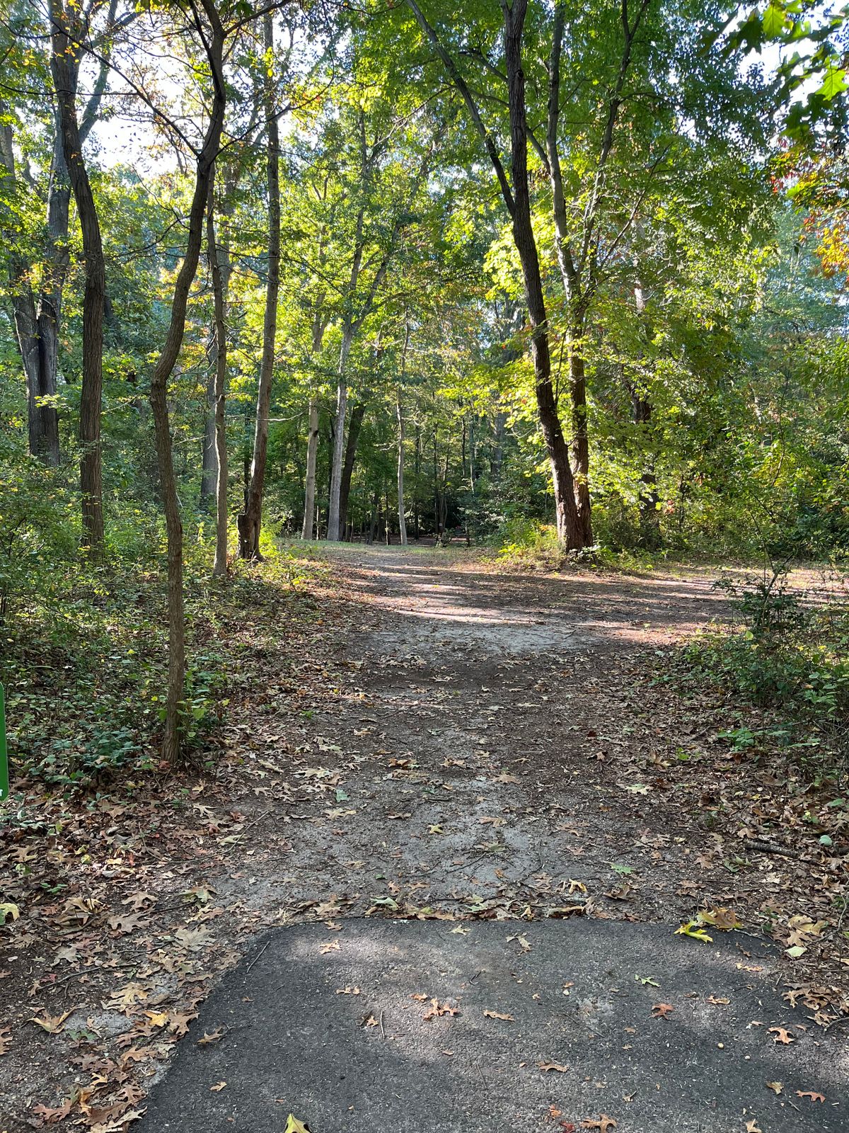 Hole 13 tee