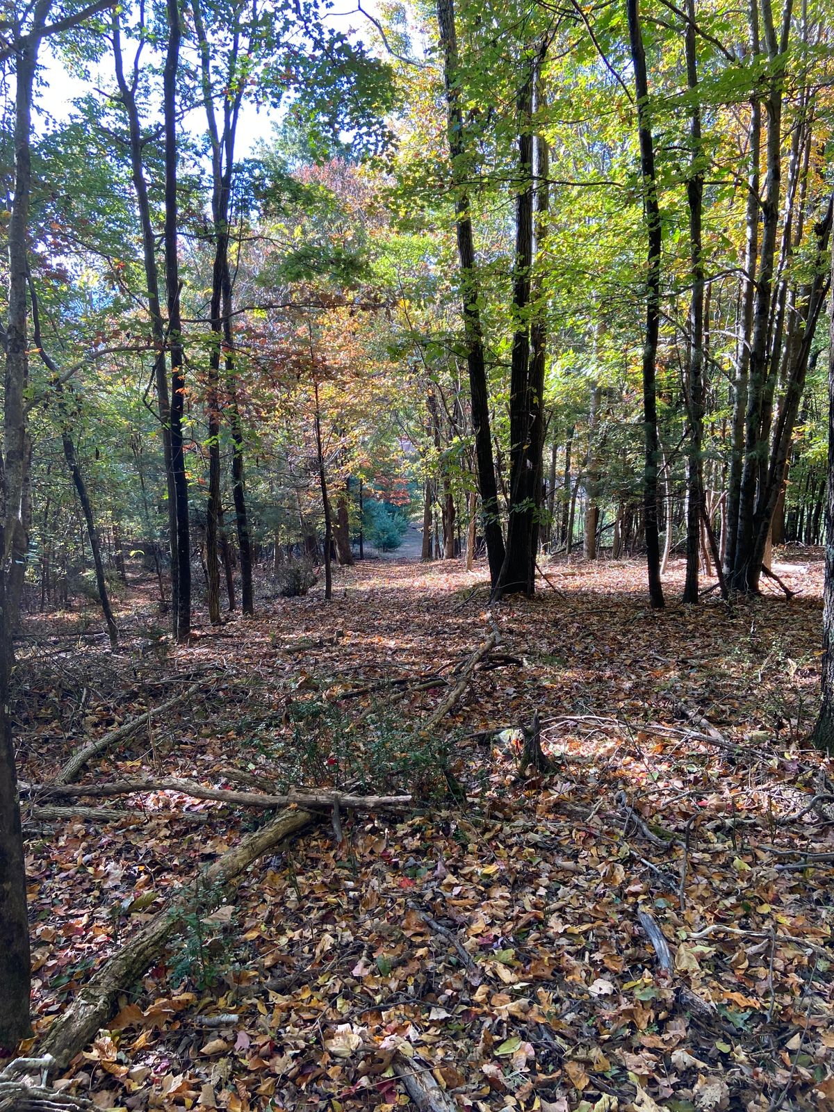 Hole 18 fairway
