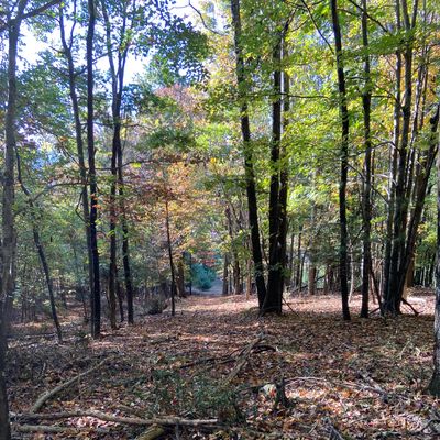 Hole 18 fairway