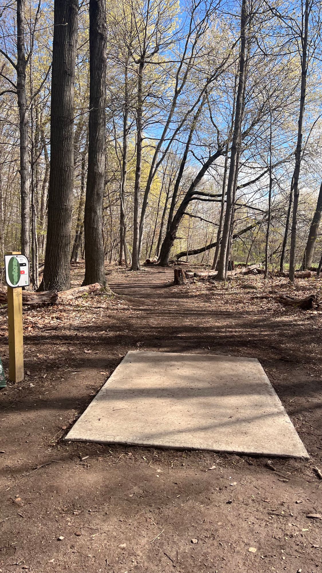 Hole 15 long tee pad
