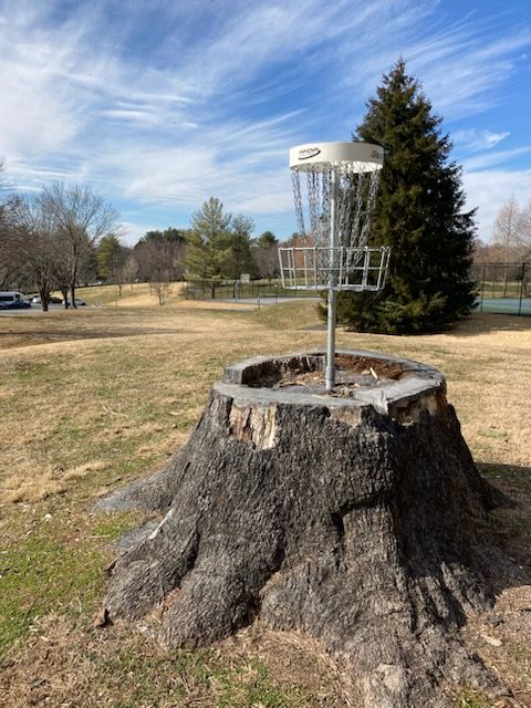 Hole 7 basket