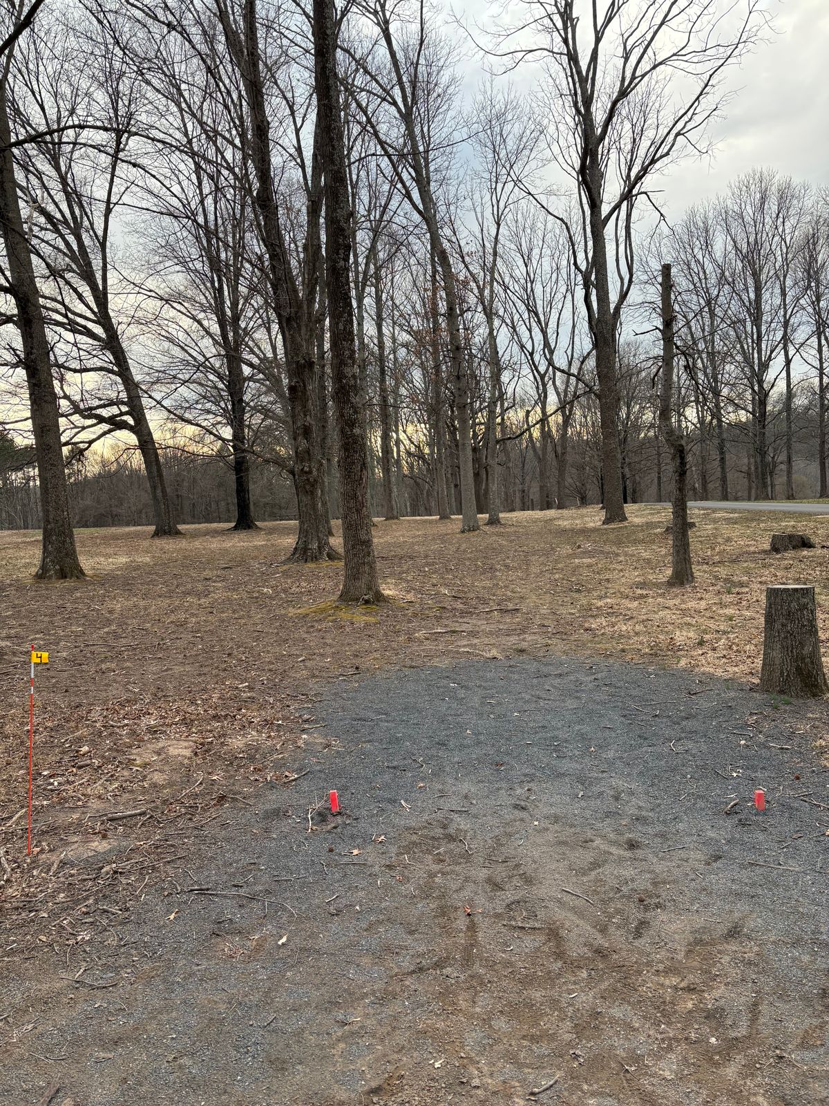 Proposed hole 4 uses the same tee box.