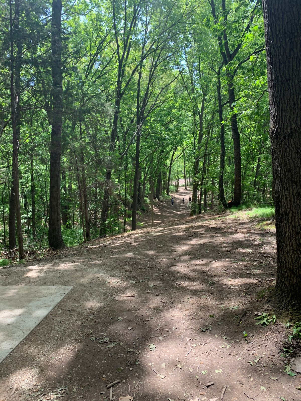 New layout for hole 5