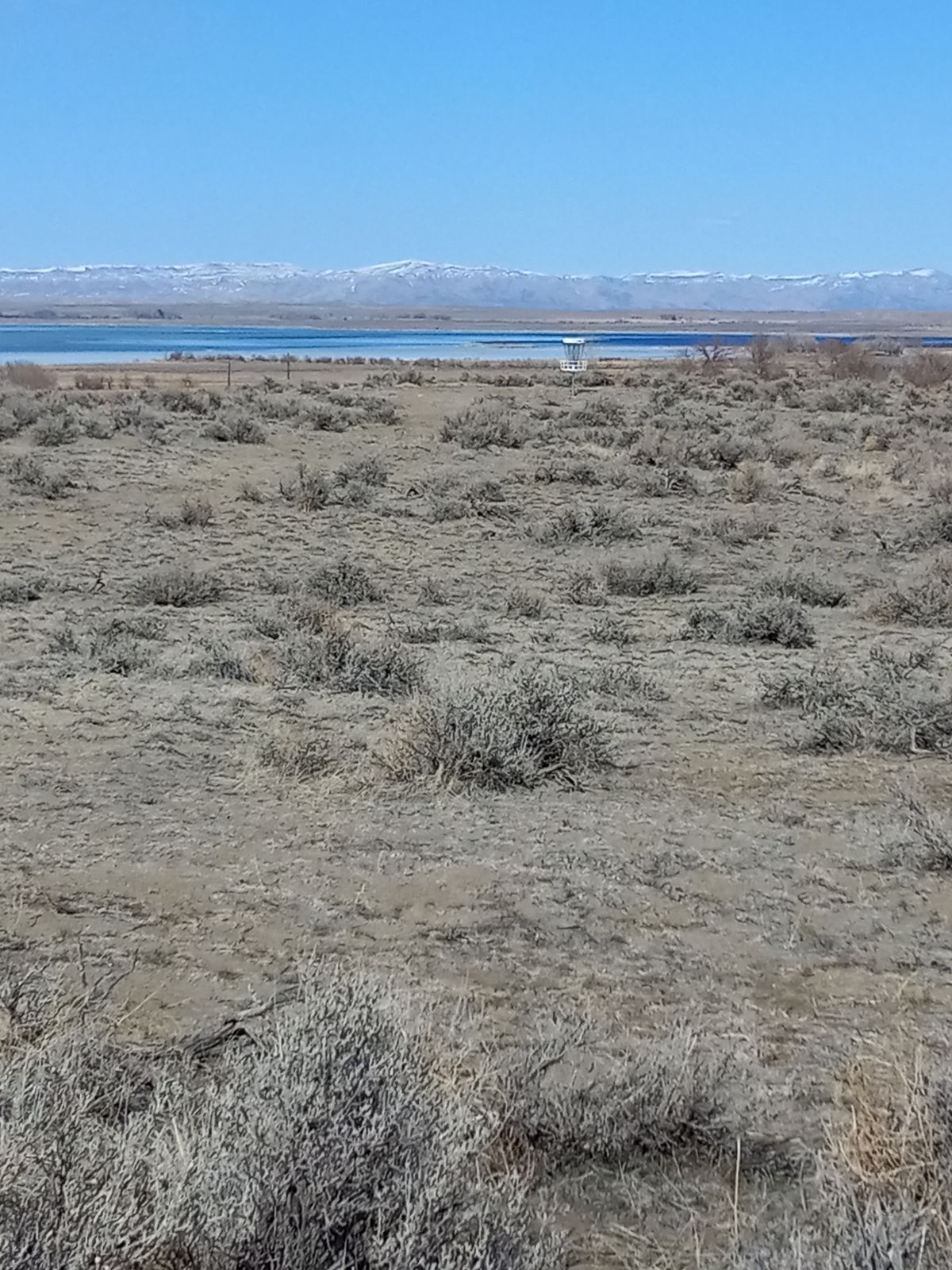 Hole  6: The picture is taken from the tee looking toward the basket.