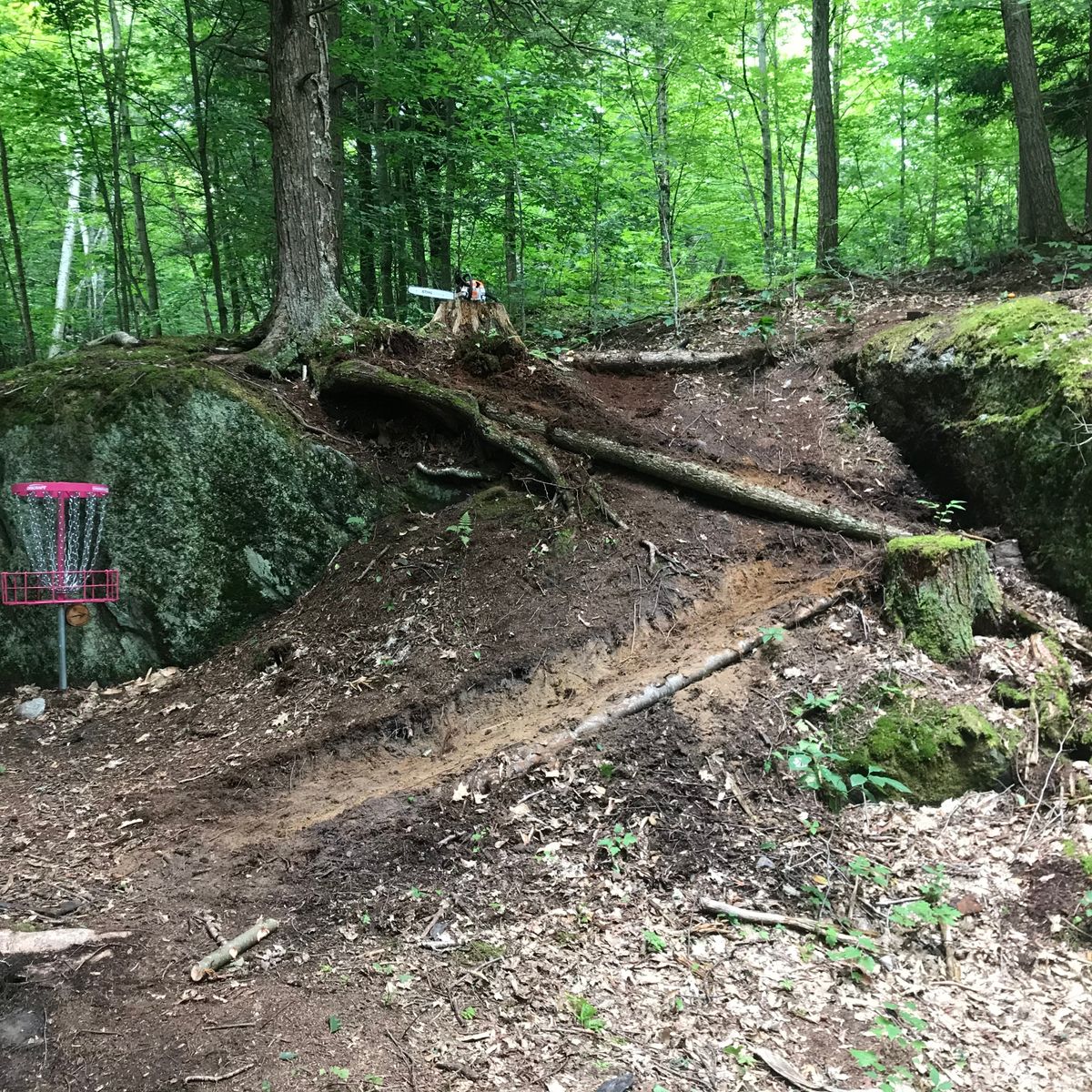 Path to the hole 6 tee pad.