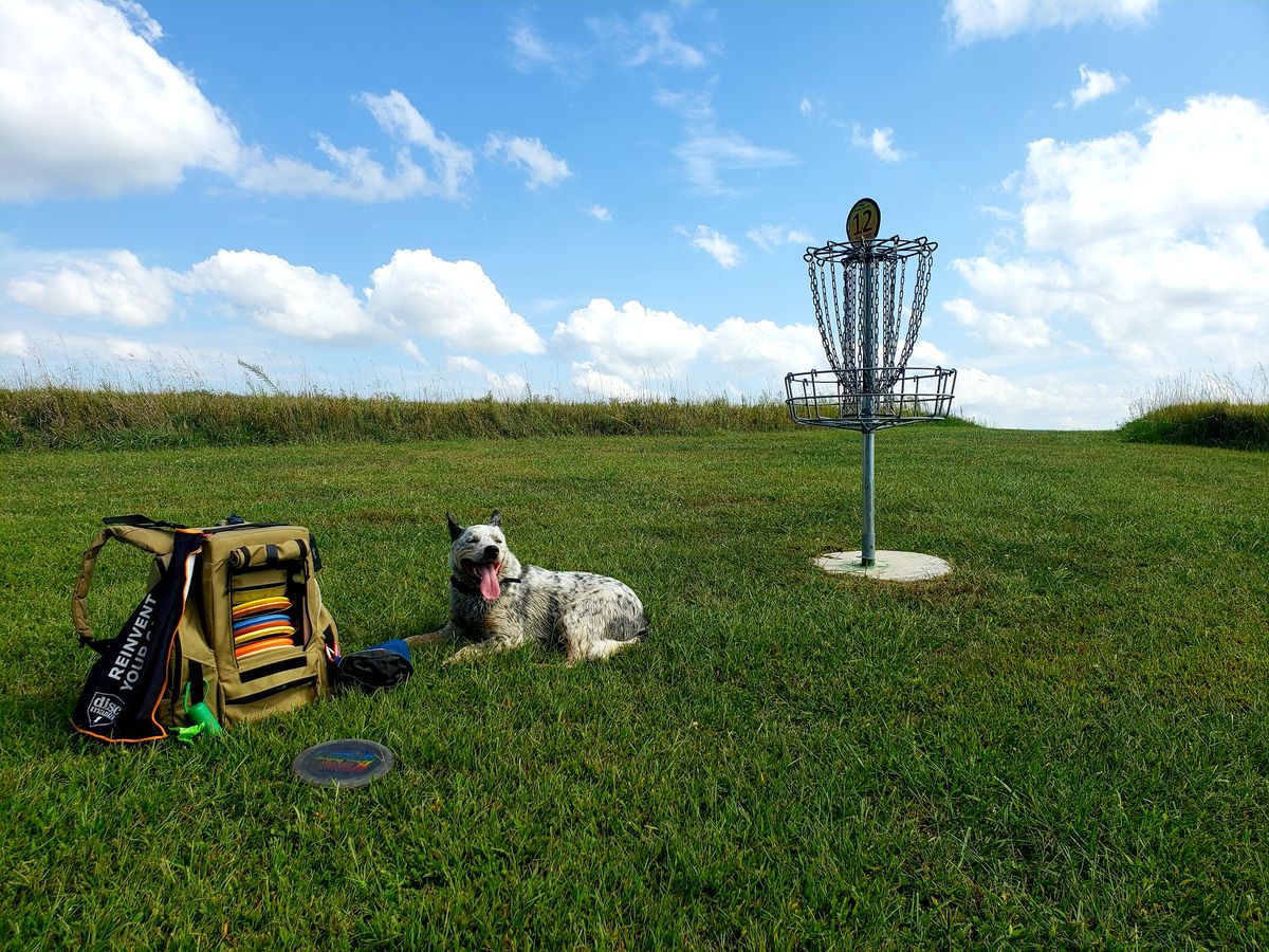 Basket at hole 12