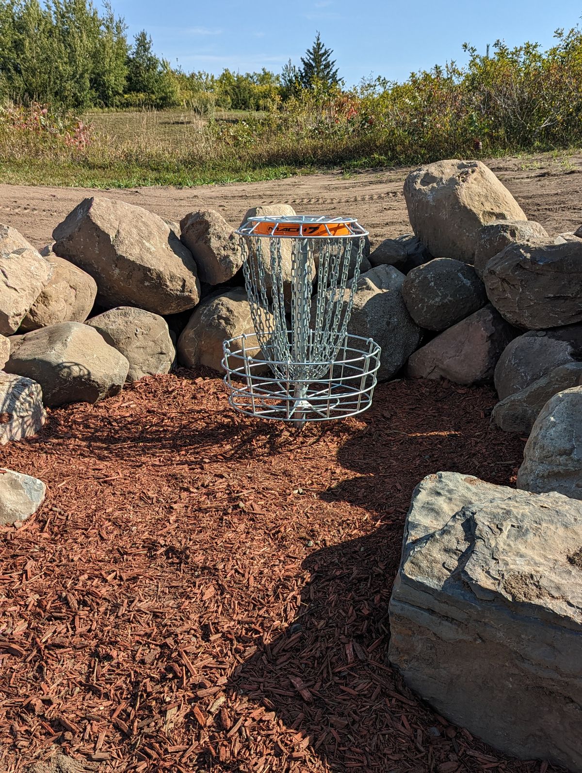 Short Basket