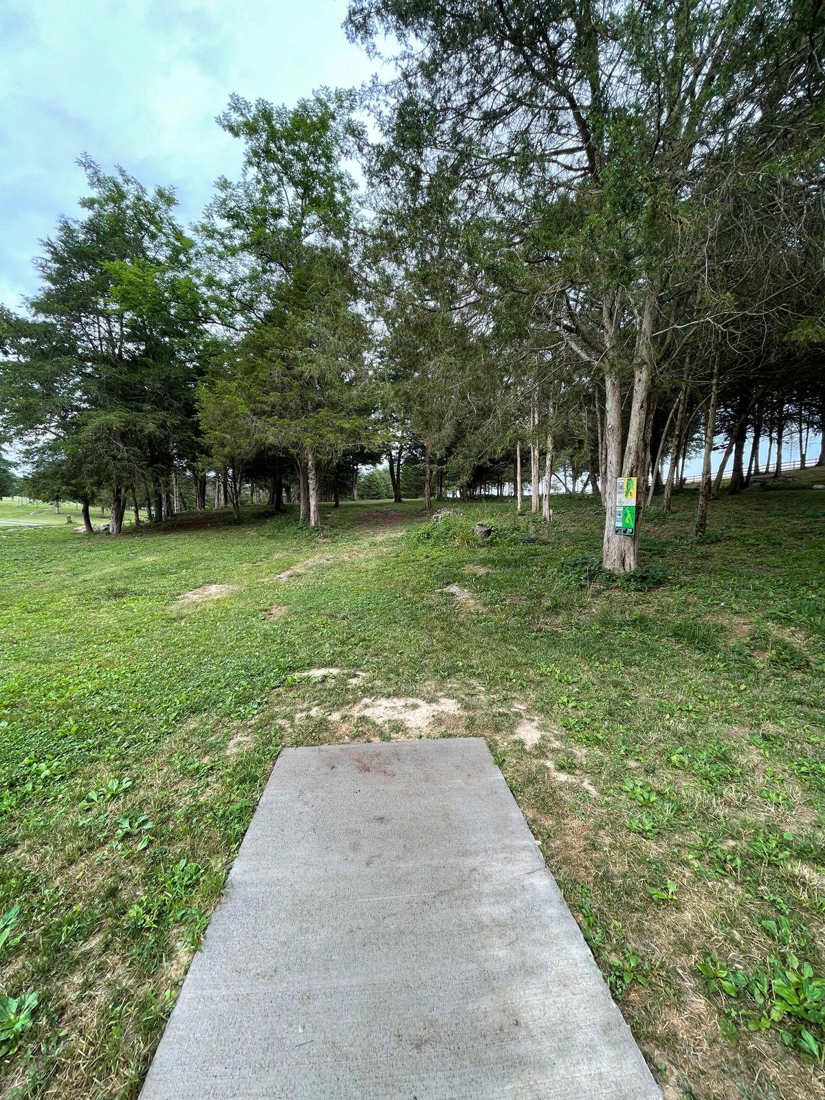 Hole 1 tee