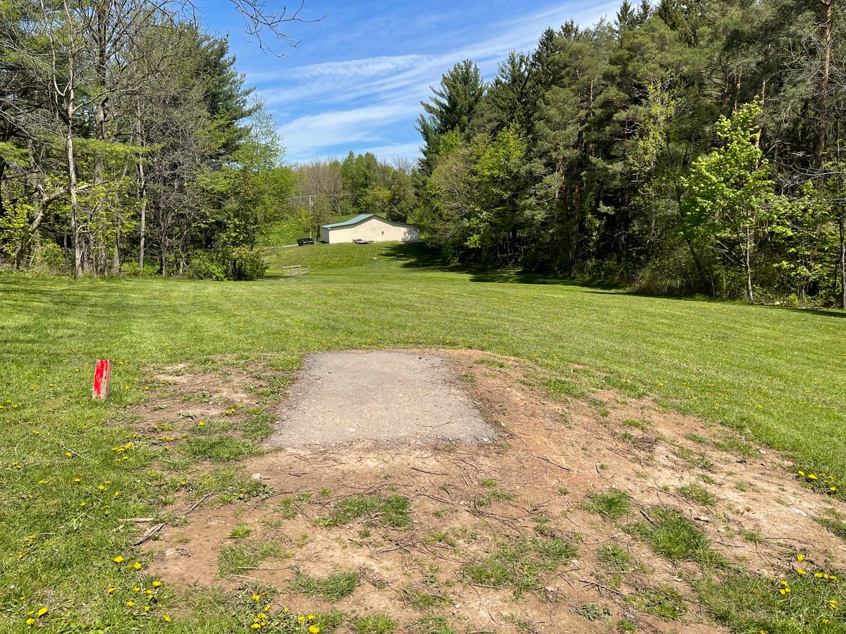 Hole 7 Short Tee