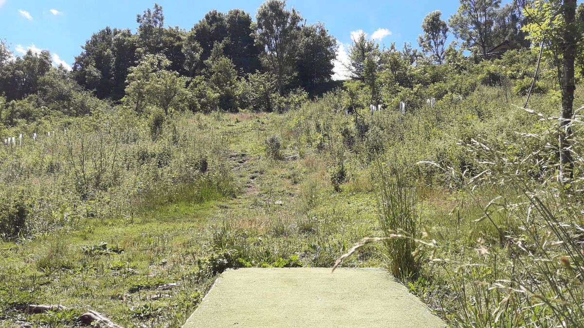 Hole 11 - straight up, in turnaments there is a mando left (it used to be a wooded hole)