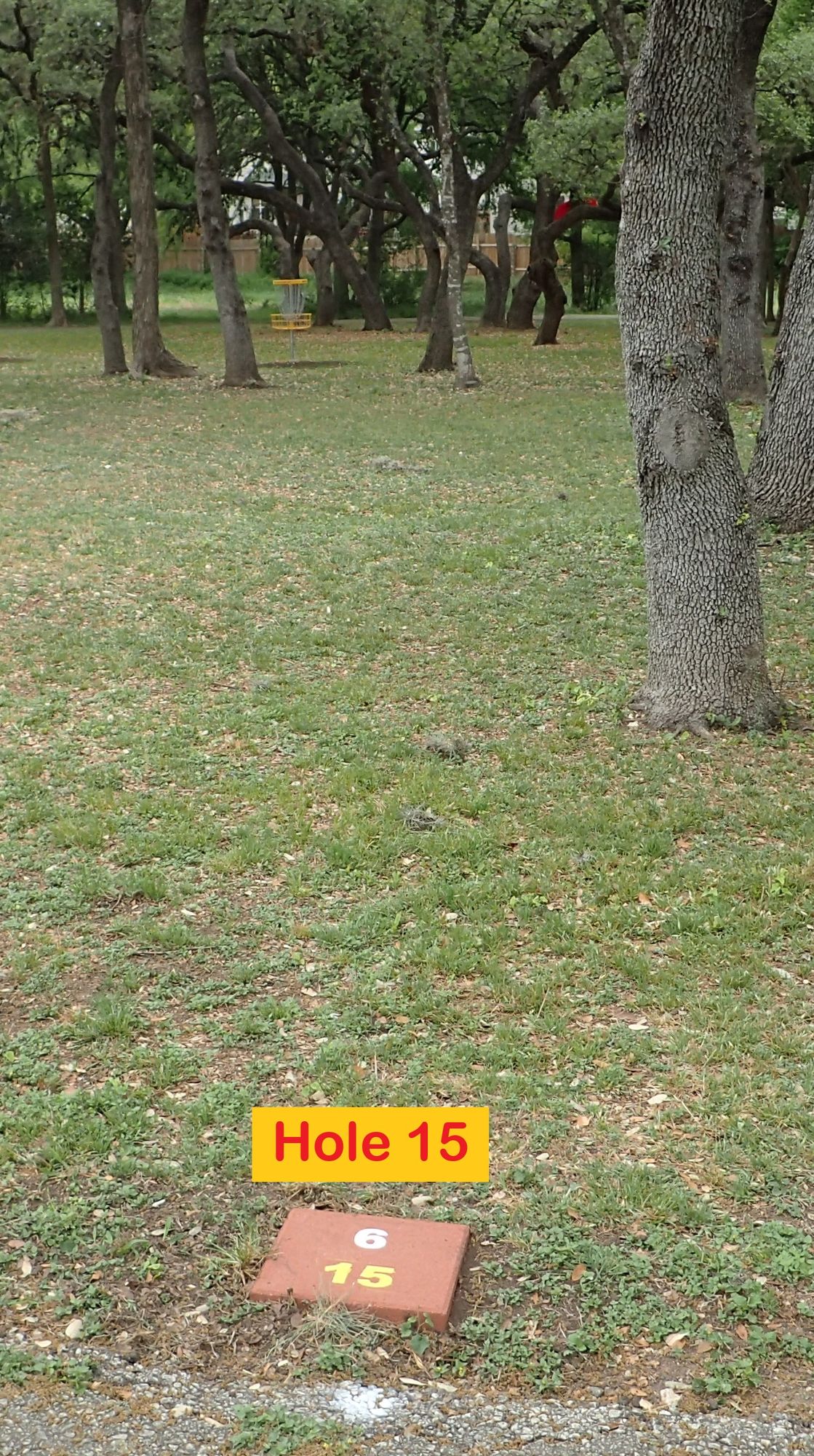 Hole 15