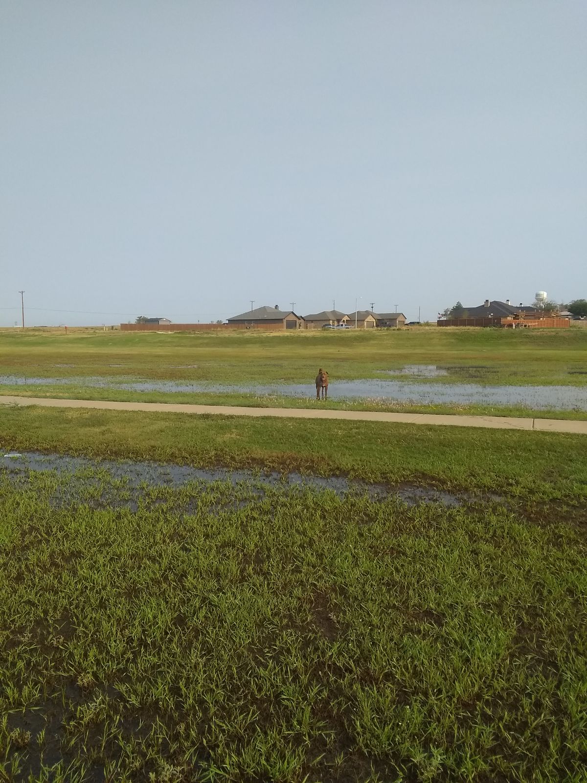 Fairway/roughish #2