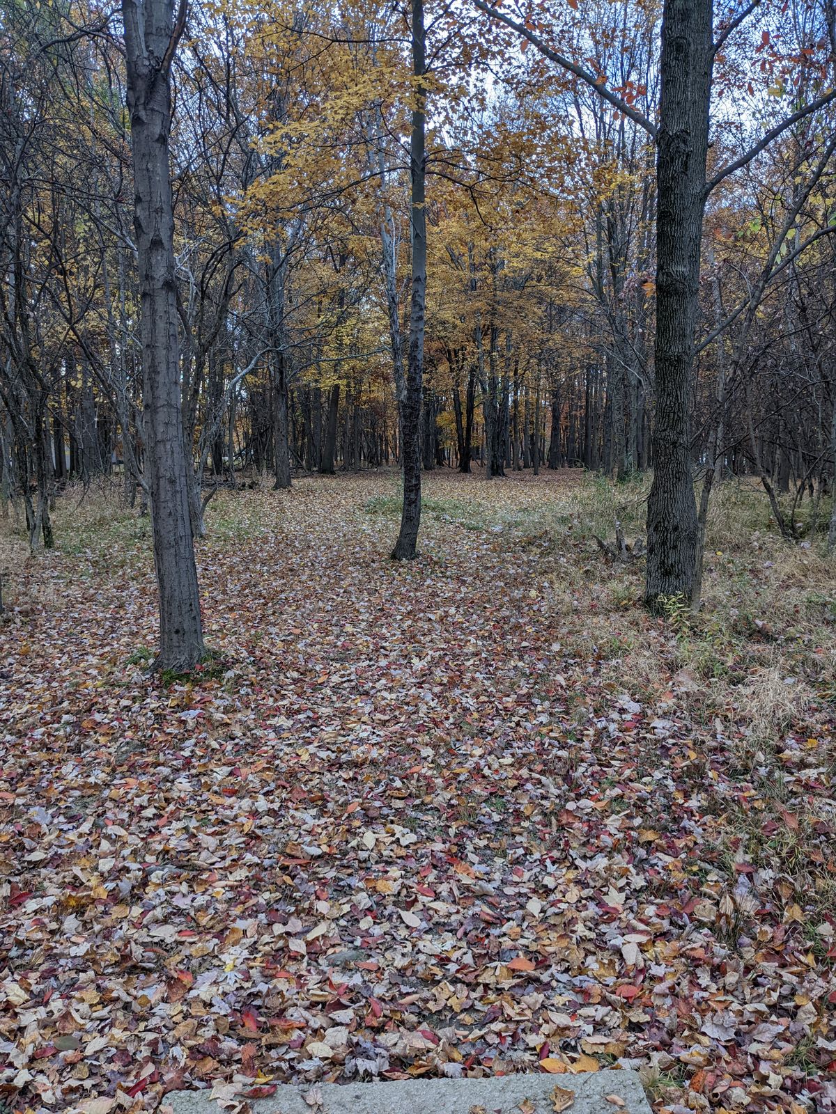 Hole 10 tee