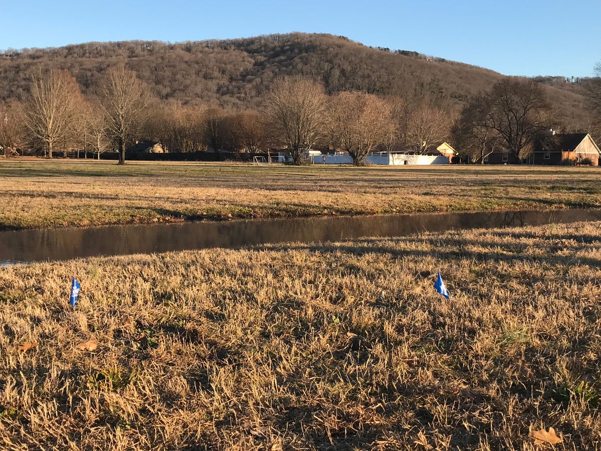 Hole 7 Blue Tee