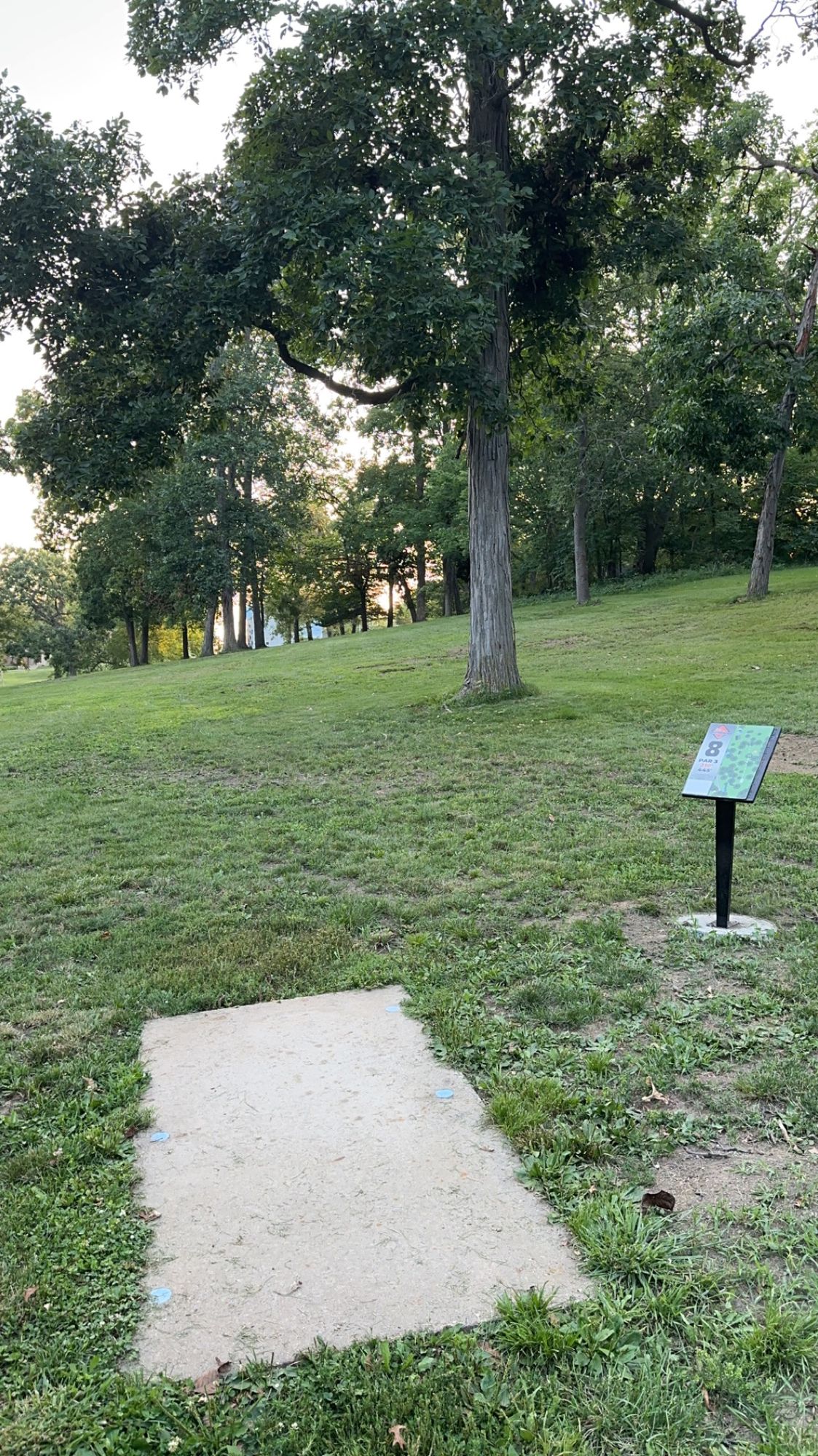 Hole 8 short