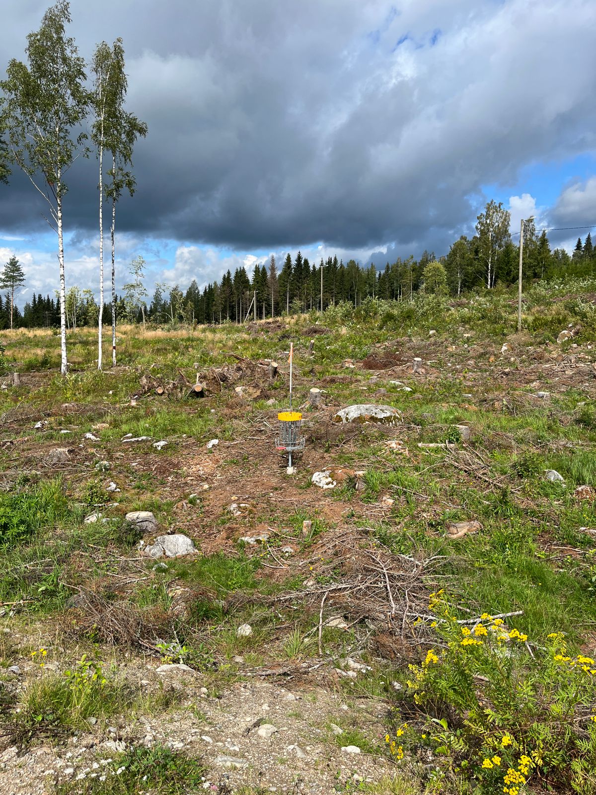 Ykkösen kori