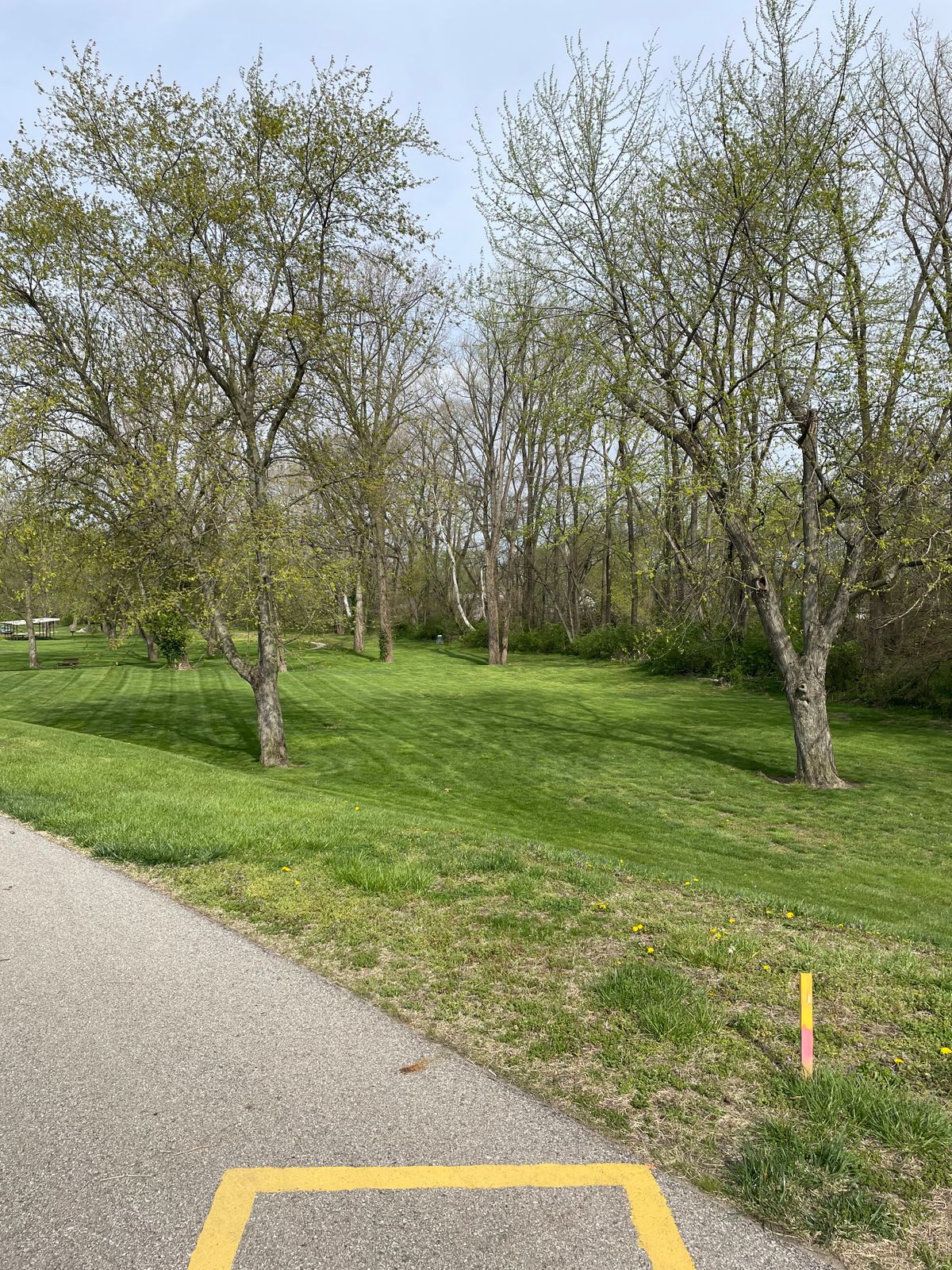 Hole 2 long tee on top of levee