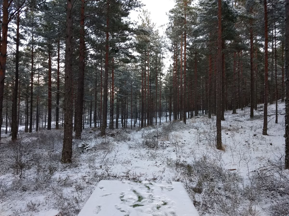 Hål 14