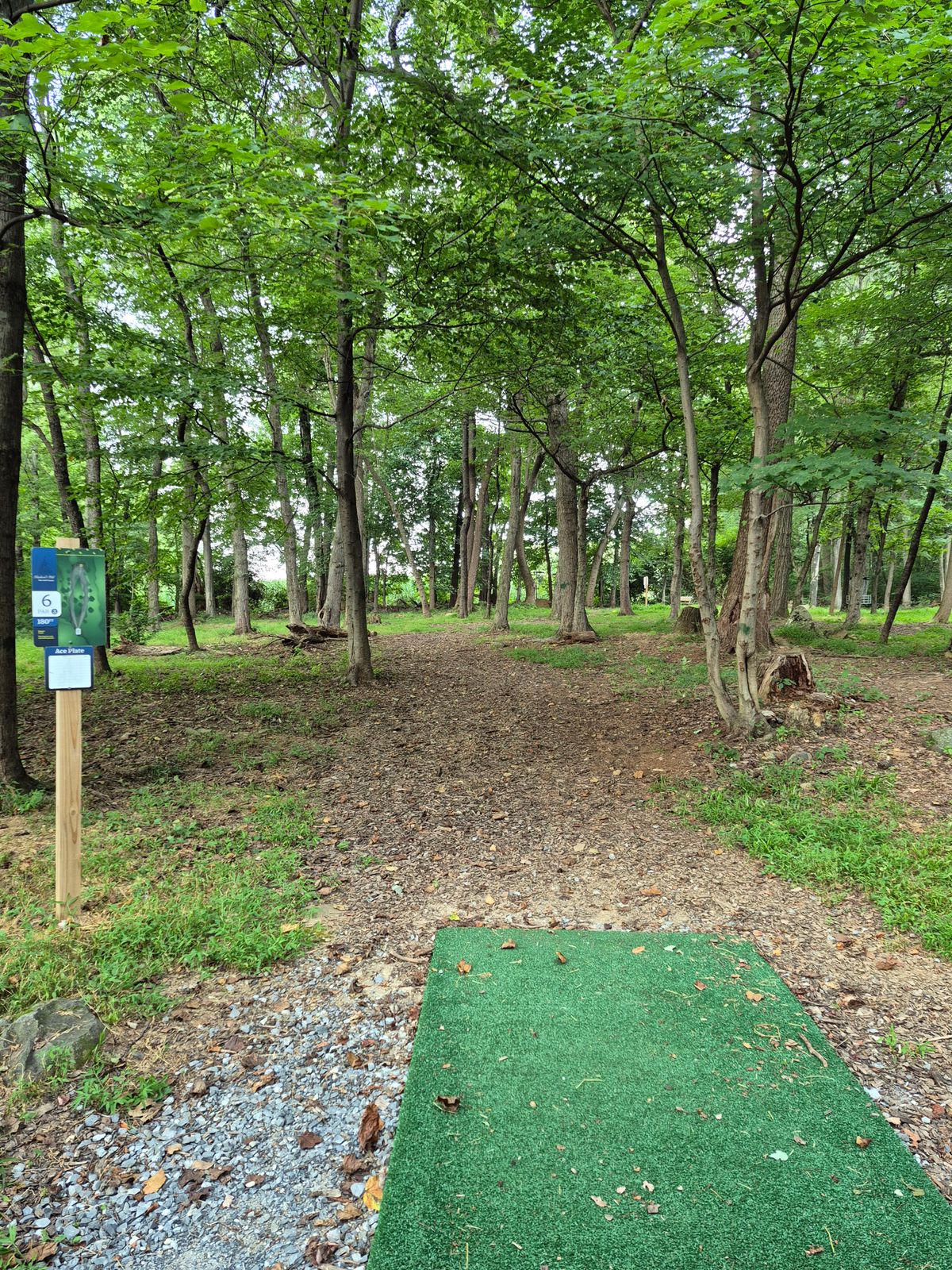 Hole 6