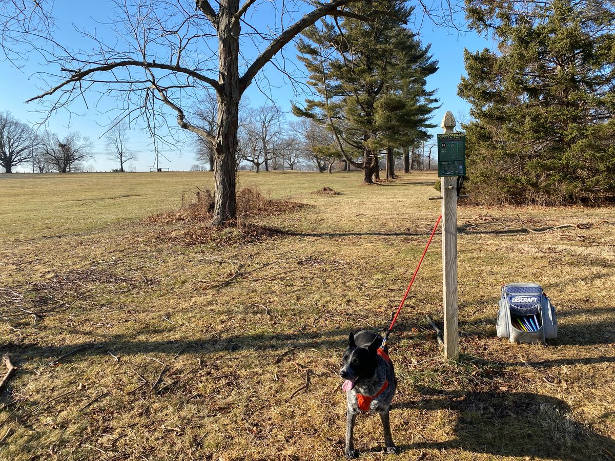 Plays now as #6 on either new layouts. Little overview map shows old layout (was inaccurate on holes 1 and 2).