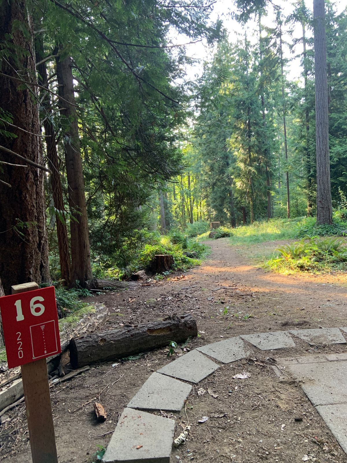 Hole 16 - Red Tee