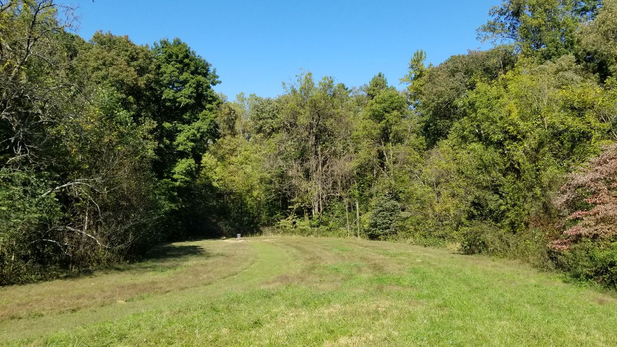 Hole 4 fairway and pin