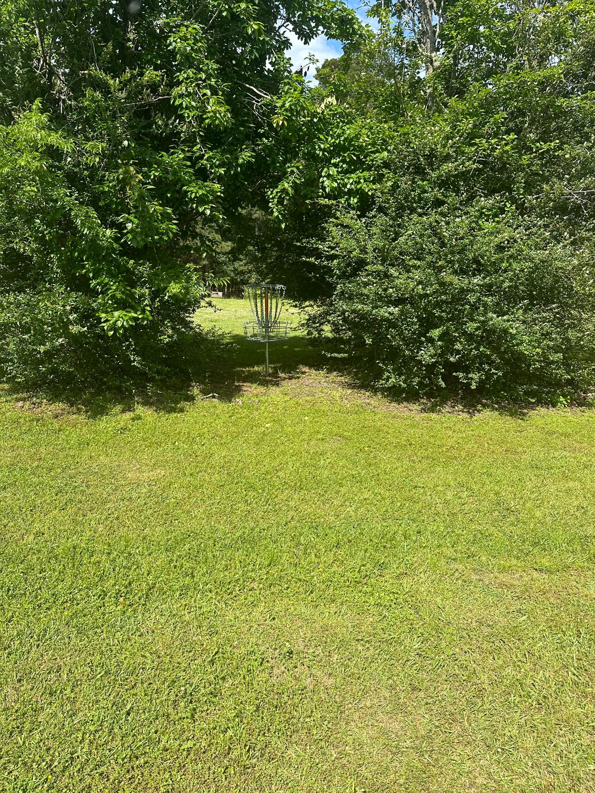 Hole 1 basket