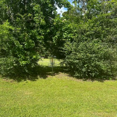 Hole 1 basket