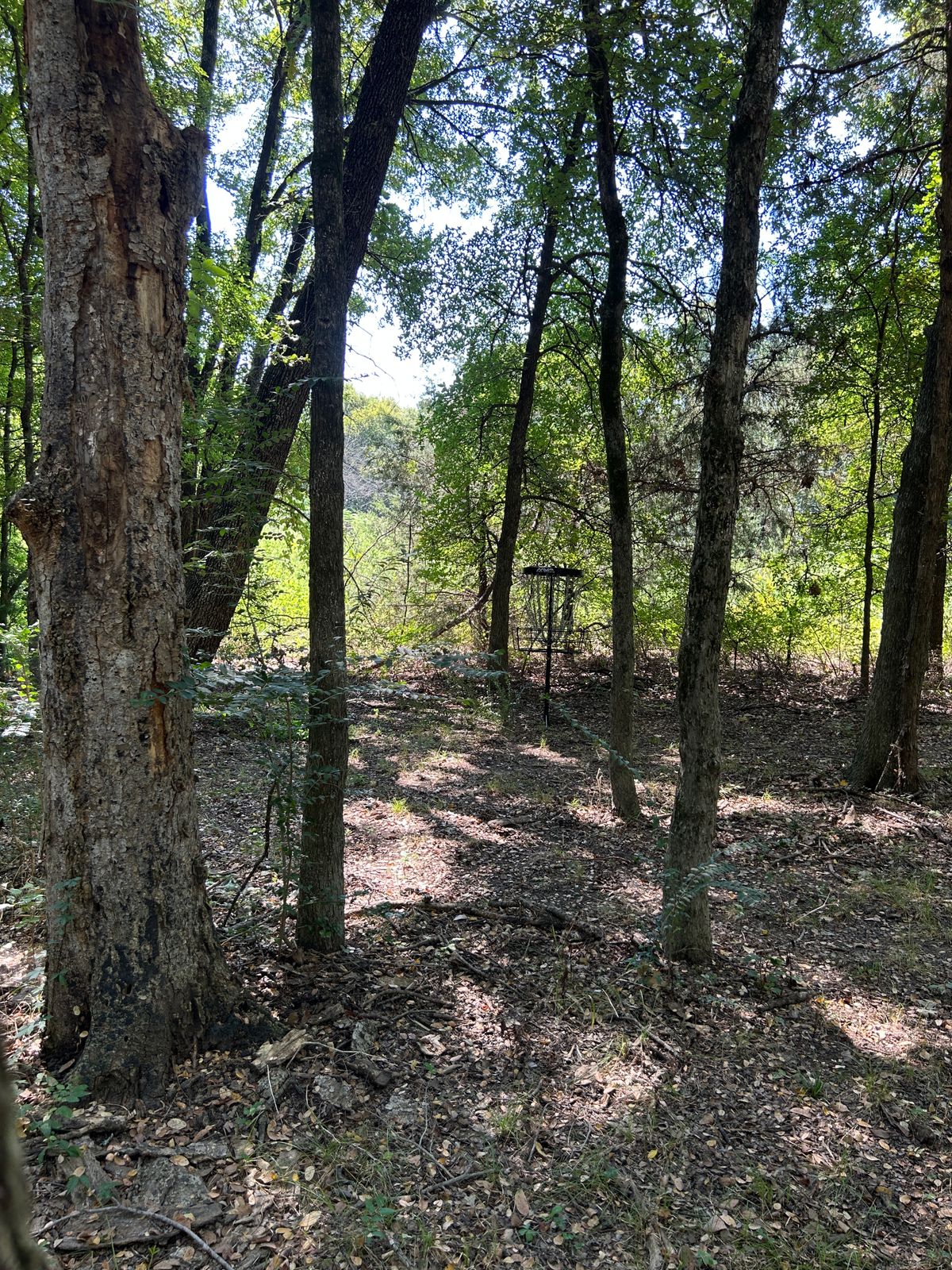 Hole 4s new position (old #3)