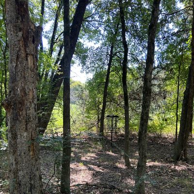 Hole 4s new position (old #3)
