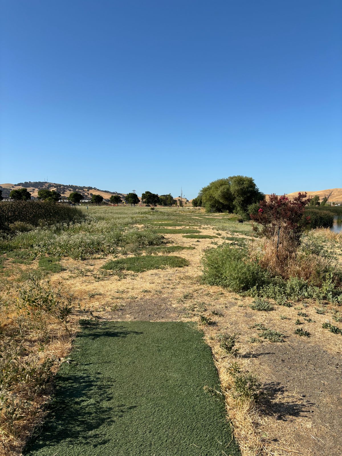 Lagoon Front Hole 5