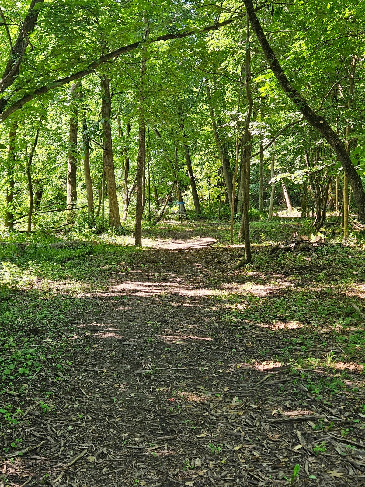 Hole 3 fairway