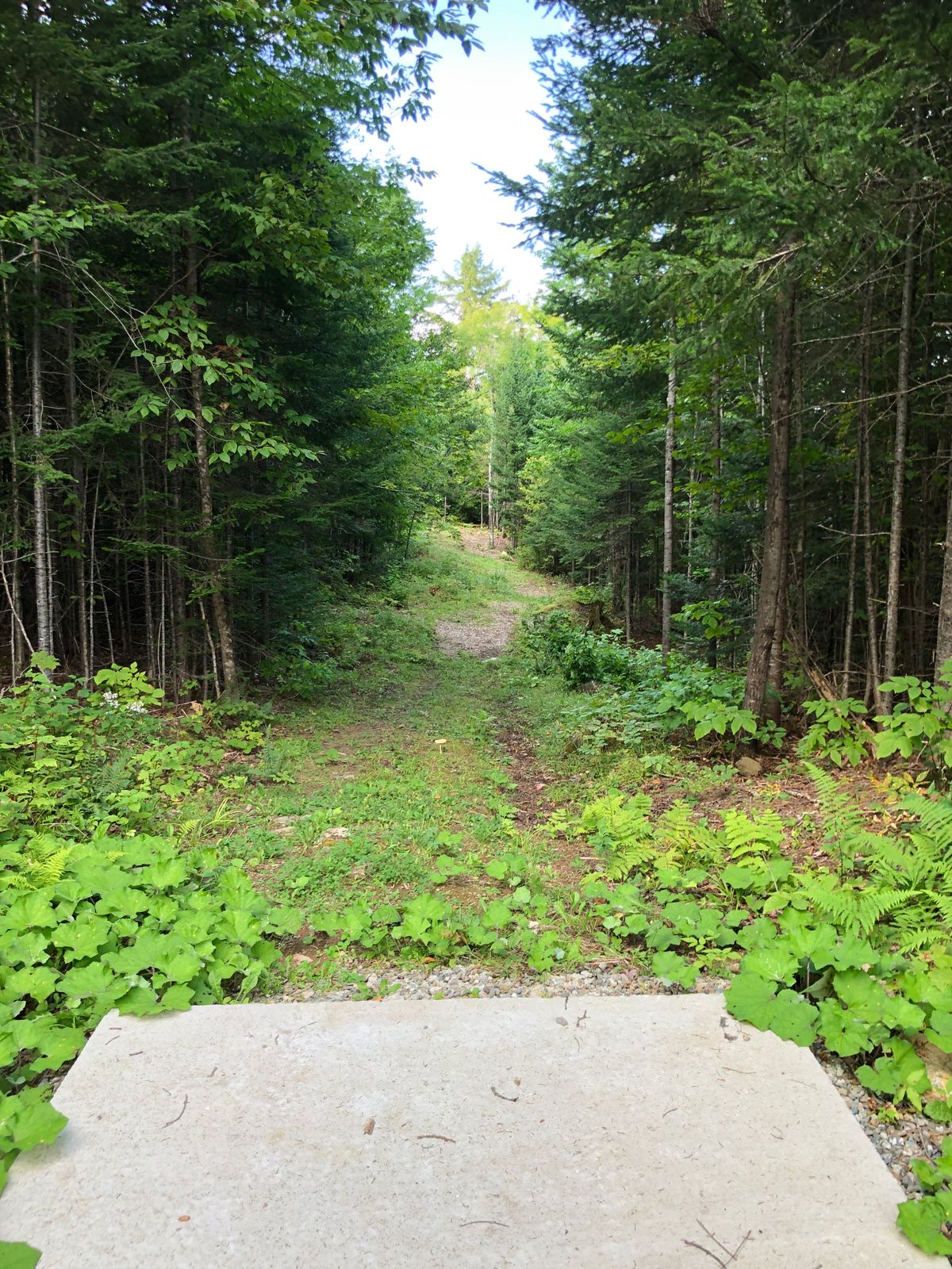 9 Tee pad