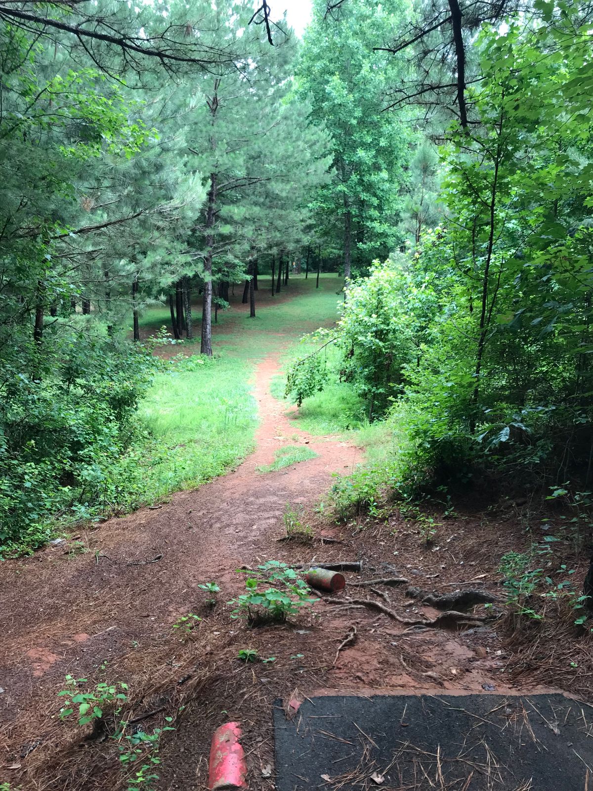 Hole 14 Red Pad