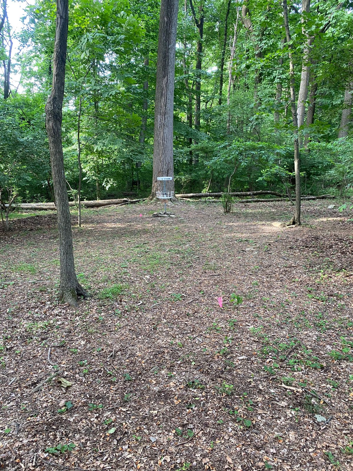 Hole 9