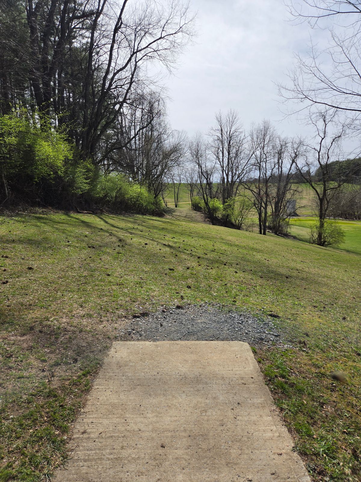 Hole 5, Basket Is Over The Hill To The Left