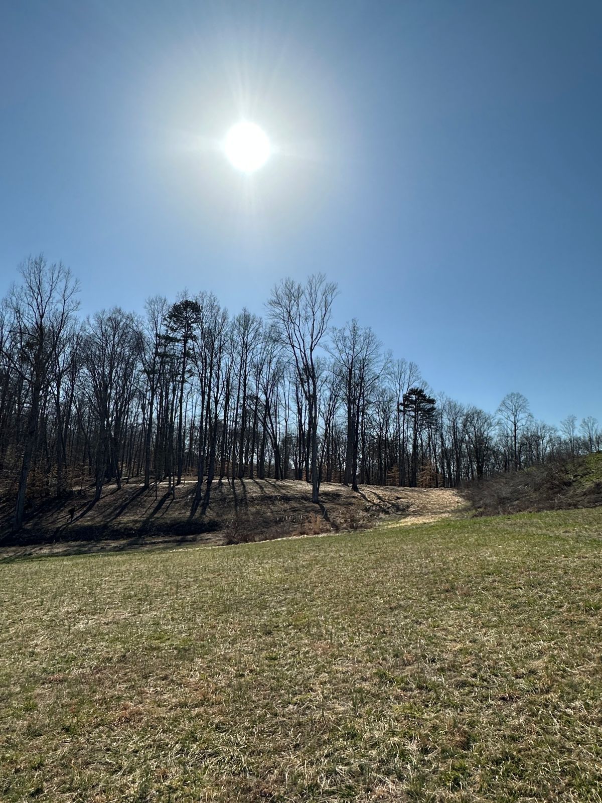 Hole 14