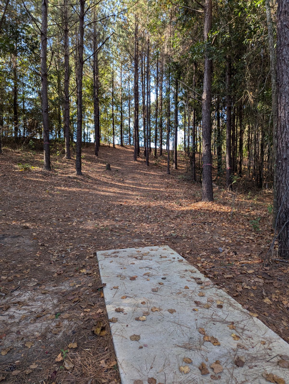 Hole 13 to the right up then down