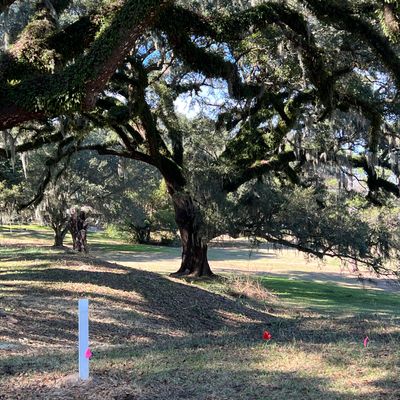 Hole 9